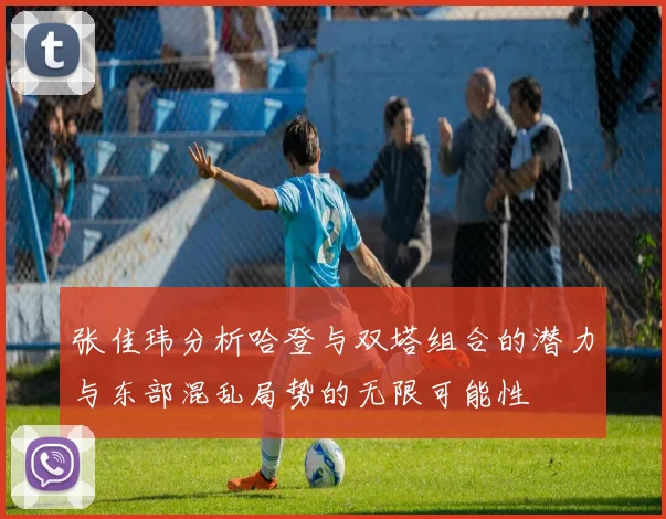 张佳玮分析哈登与双塔组合的潜力与东部混乱局势的无限可能性
