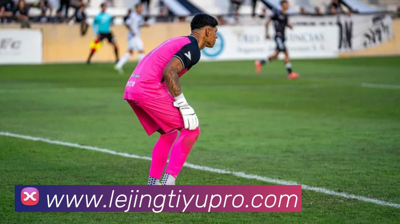 App Interface Preview