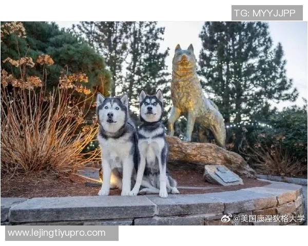 康涅狄格大学球员脚踩哈士奇PE球鞋引发媒体热议 康涅狄格大学球员脚踩哈士奇PE球鞋引发媒体热议